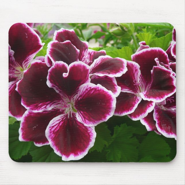Tapis De Souris Fleurs de géranium Regal Élégant Maroon Floral Lug (Devant)
