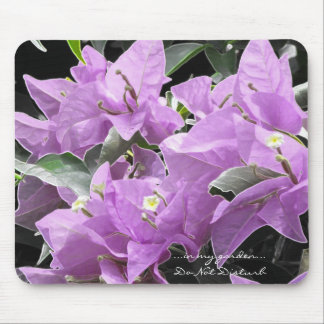 Tapis De Souris Fleurs de lavande