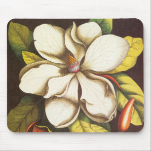Tapis De Souris Fleurs de magnolia vintage avec graines