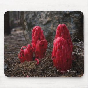 Tapis De Souris Fleurs de neige