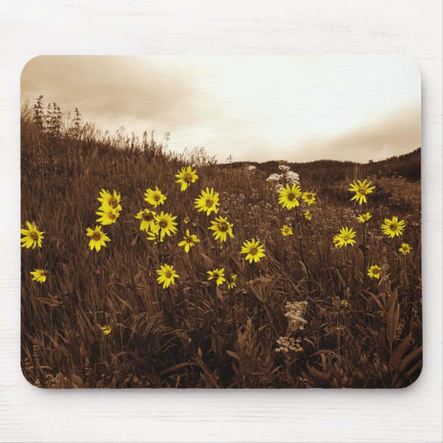 Tapis De Souris Fleurs de soleil (Devant)
