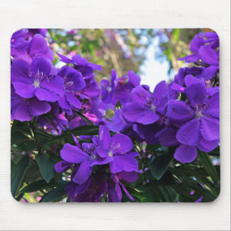 Tapis De Souris Fleurs de Tibouchina