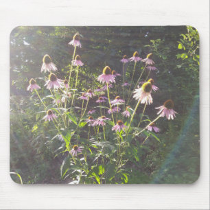 Tapis De Souris Fleurs d'échinacée au soleil