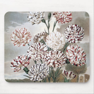 Tapis De Souris Fleurs d'oeillets vintages avec ciel gris
