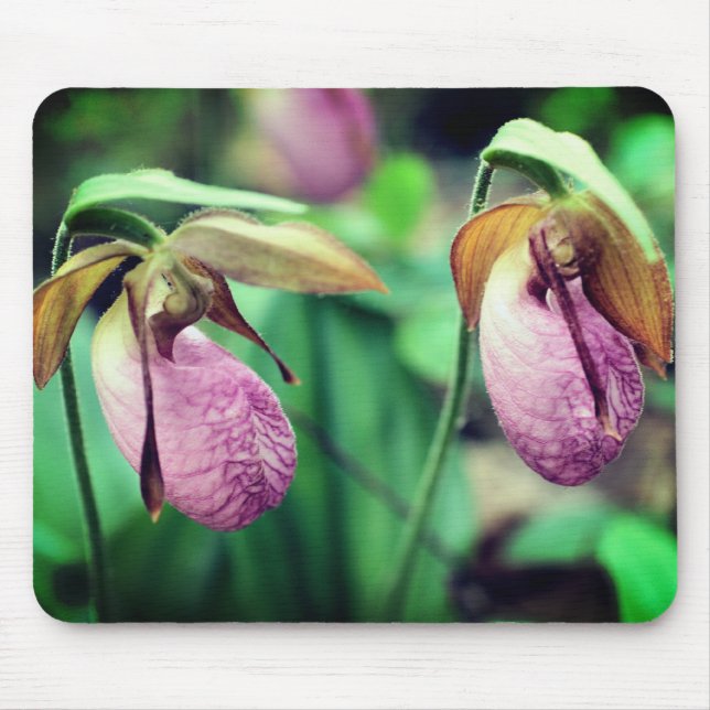 Tapis De Souris Fleurs d'orchidées rose Lady Slipper (Devant)