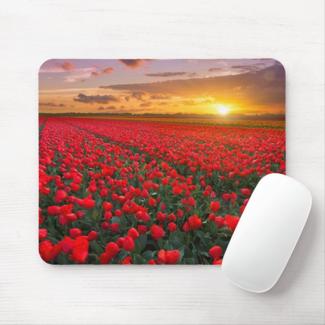 Tapis De Souris Fleurs | Jardin botanique Hollande (Avec souris)