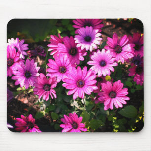 Tapis De Souris Fleurs marguerites violettes africaines