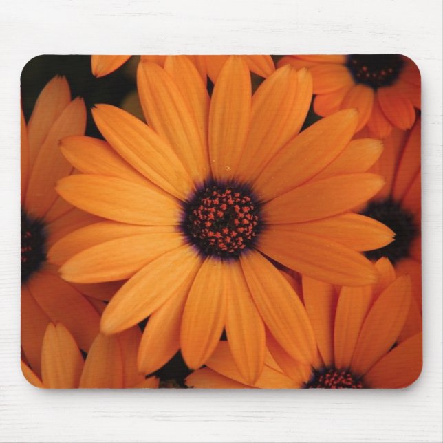 Tapis De Souris Fleurs oranges (Devant)