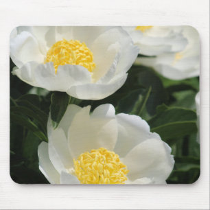 Tapis De Souris Fleurs, pivoines