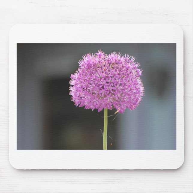 Tapis De Souris Fleurs pour tous (Devant)