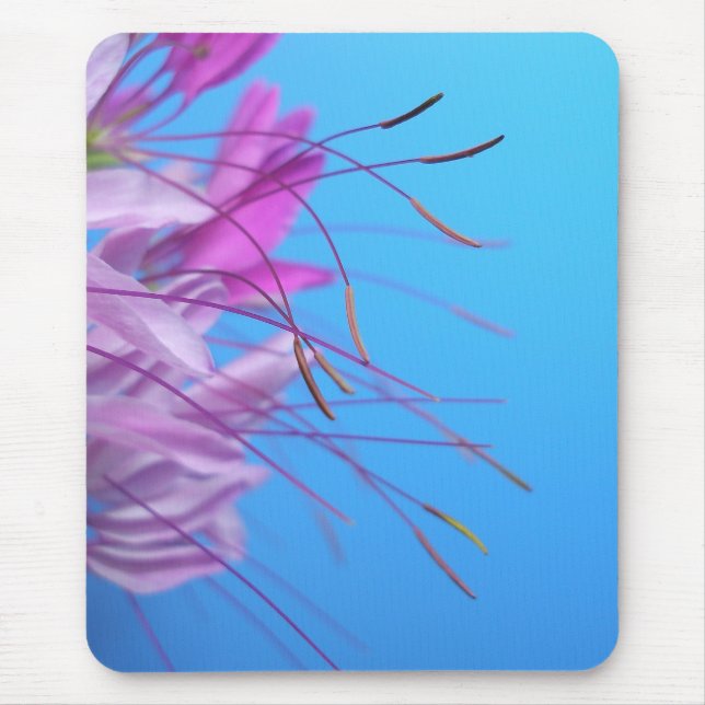 Tapis De Souris Fleurs roses (Devant)
