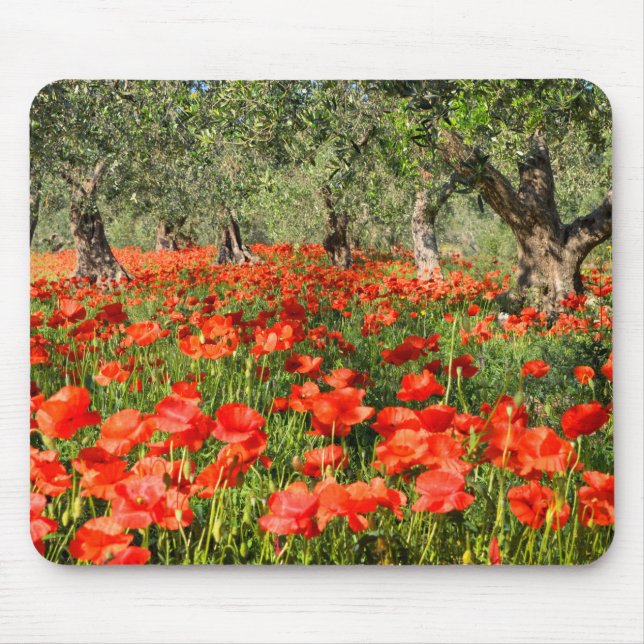 Tapis De Souris Fleurs rouges de pavot sous de vieux oliviers (Devant)
