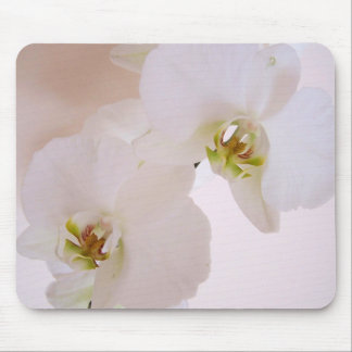 Tapis De Souris Fleurs sauvages blanches d'orchidée de