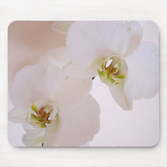 Tapis De Souris Fleurs sauvages blanches d'orchidée de (Devant)