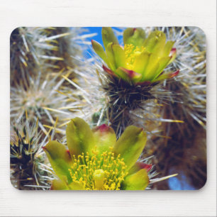 Tapis De Souris Fleurs sauvages de Cholla Cactus d'argent