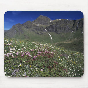 Tapis De Souris Fleurs sauvages, en fleurs, Alpes, Suisse