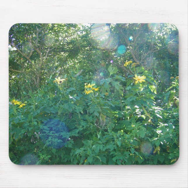 Tapis De Souris Fleurs sauvages hawaïens jaunes de Kauai Hawaï (Devant)