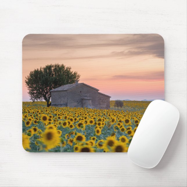 Tapis De Souris Fleurs | Sunflower Field Provence, France (Avec souris)