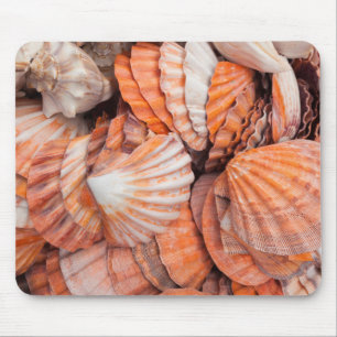Tapis De Souris Florida Keys, Key West, coquillages