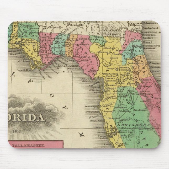 Tapis De Souris Floride 10 (Devant)