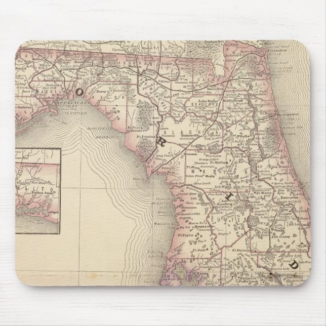 Tapis De Souris Floride 10 (Devant)
