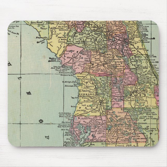 Tapis De Souris Floride 5 (Devant)
