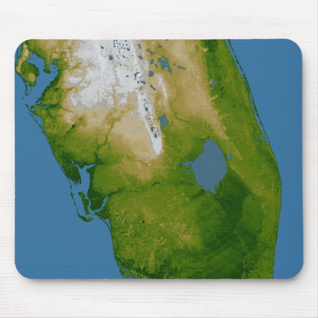 Tapis De Souris Floride du sud (Devant)