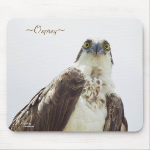 Tapis De Souris Floride Osprey Mousepad