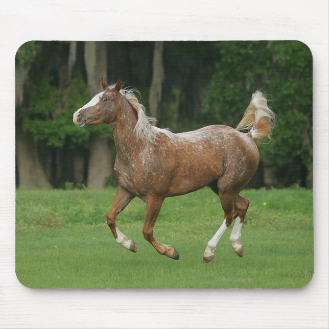Tapis De Souris Fonctionnement de cheval d'Appaloosa (Devant)