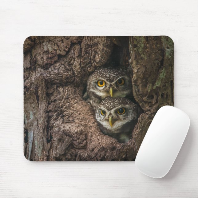 Tapis De Souris Forest | Deux Owls Looking (Avec souris)
