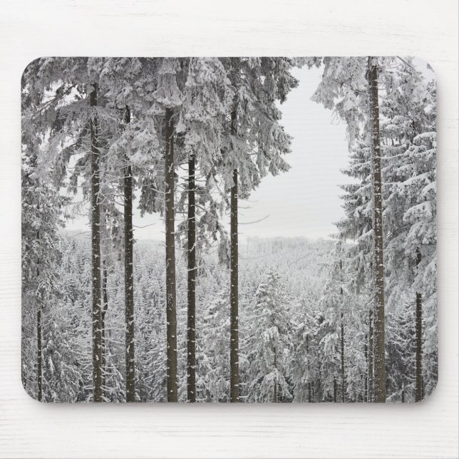 Tapis De Souris Forêt à feuillage persistant en hiver (Devant)