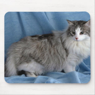 Tapis De Souris Forêt, argent, chat tigré et blanc norvégiens