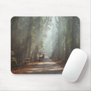 Tapis De Souris Forêt   Bois