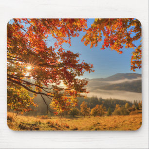 Tapis De Souris Forêt d'automne dans les montagnes