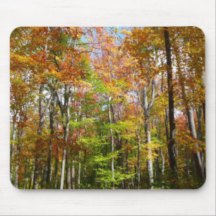 Tapis De Souris Forêt d'automne II Photographie de paysage automna