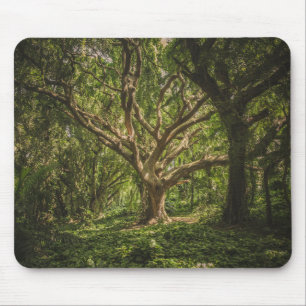 Tapis De Souris Forêt de Big Tree