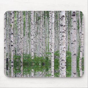 Tapis De Souris Forêt de Birch Nature