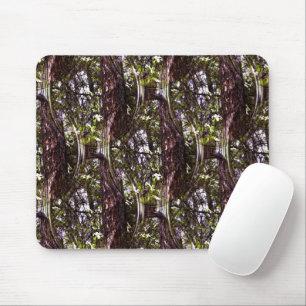 Tapis De Souris Forêt de Dogwoods....