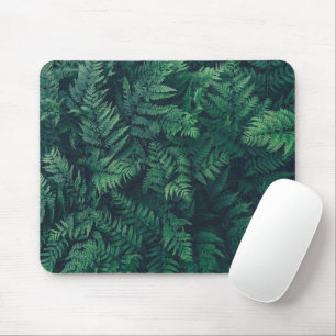 Tapis De Souris Forêt   Fermes des bois