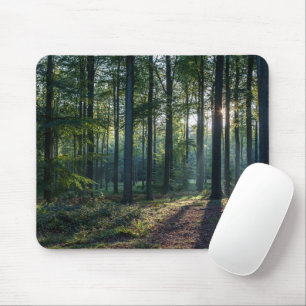 Tapis De Souris Forêt   Forêt Noire Allemagne