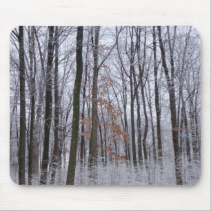 Tapis De Souris Forêt huppée neige paysage d'hiver Photographie