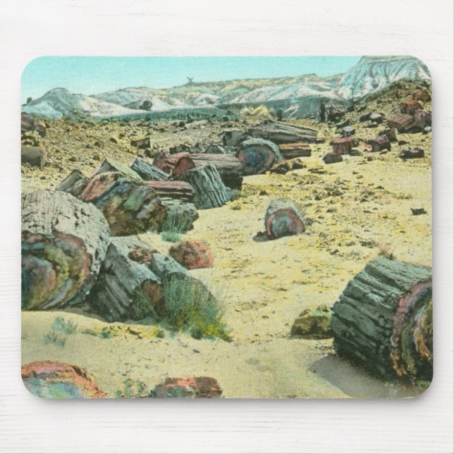 Tapis De Souris Forêt Petrified (Devant)