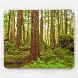 Tapis De Souris Forêt pluviale tempérée de l'Alaska