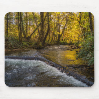 Tapis de souris forêt Sérénité d'automne