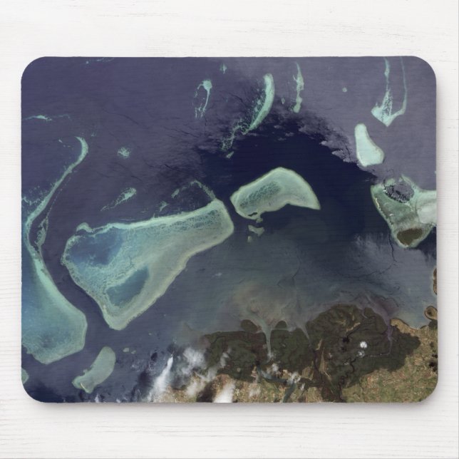 Tapis De Souris Forêt verte profonde sur terre (Devant)