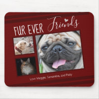 Forever Friends Pet Photo Collage