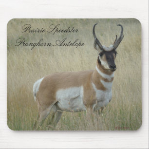 Tapis De Souris Fortune d'antilope d'A8 Pronghorn