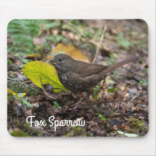 Tapis De Souris Fox Sparrow