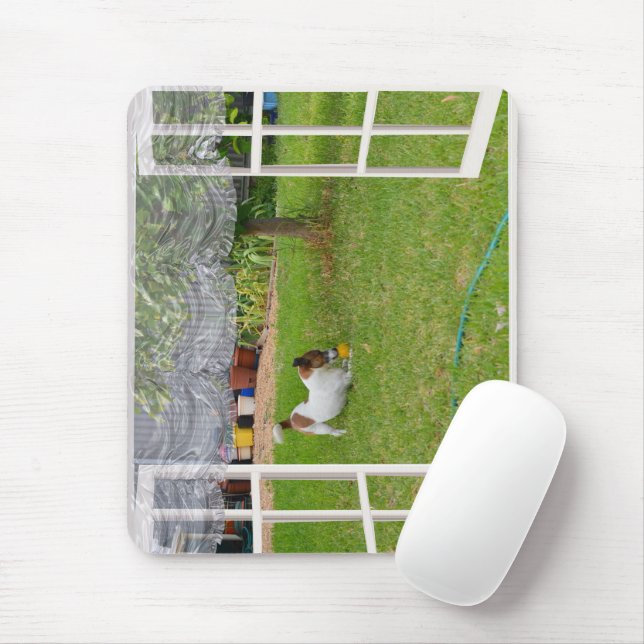 Tapis De Souris Fox Terrier Play Ball, Mousepad (Avec souris)
