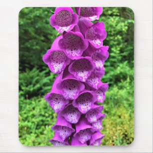 Tapis De Souris Foxglove Flowers, Oregon